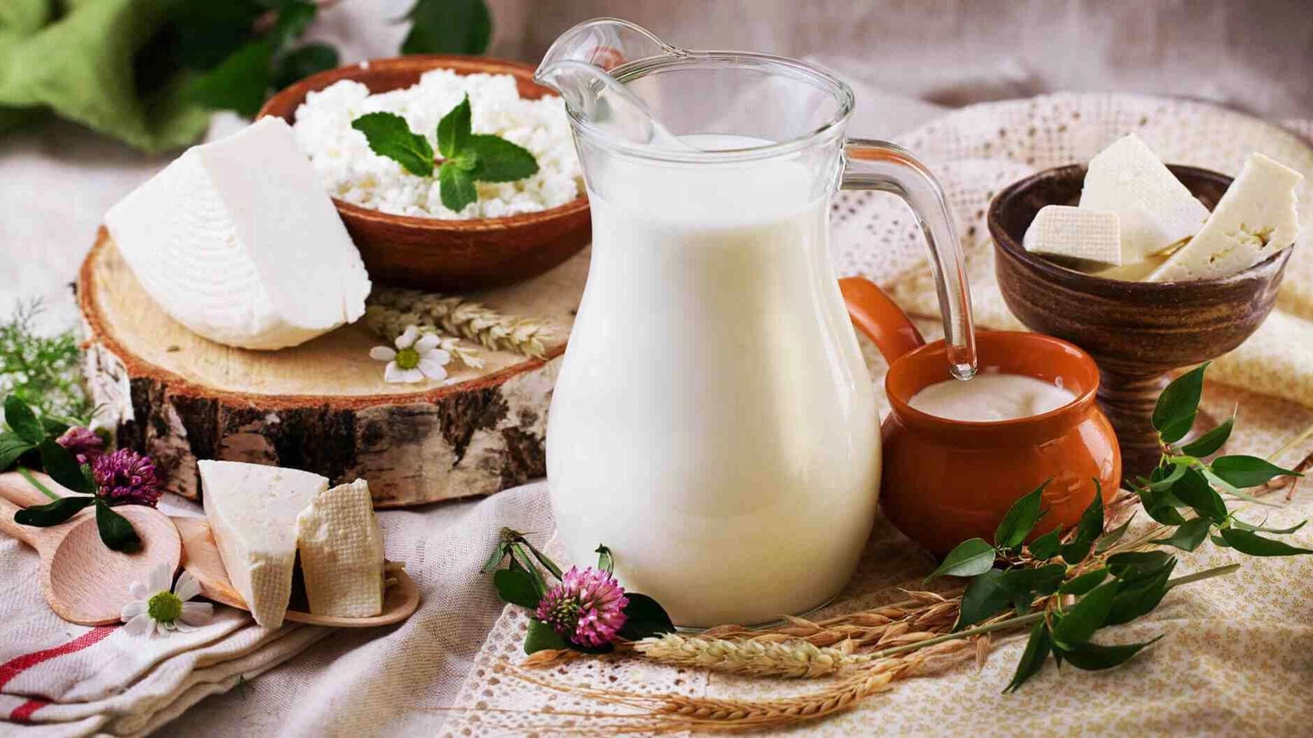 Sale of Hashemzadeh dairy products