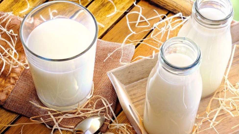 Sale of Hashemzadeh dairy products