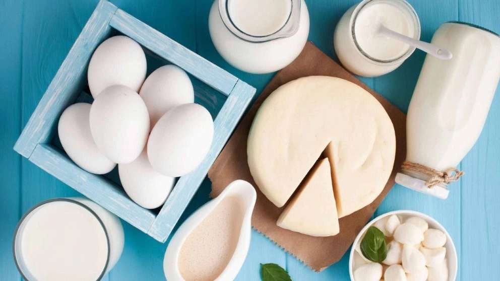 Sale of Hashemzadeh dairy products