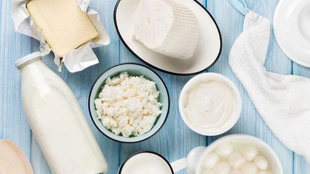 Sale of Hashemzadeh dairy products