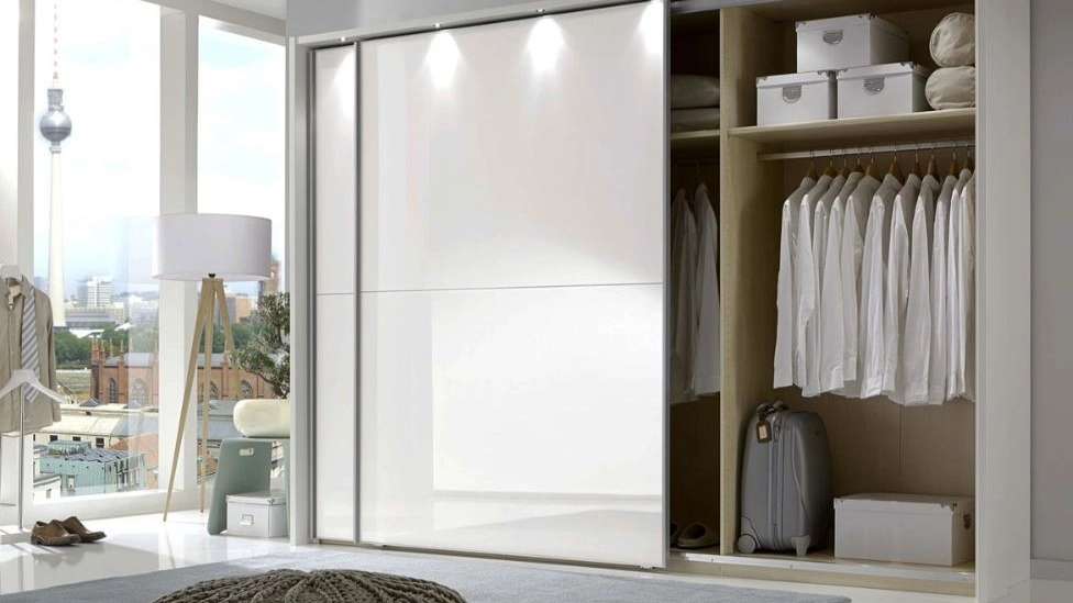 Pasha's cabinet and wall closet