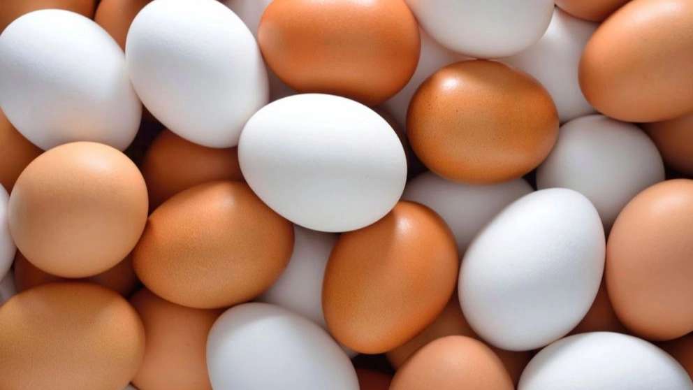 Sharifzadeh egg