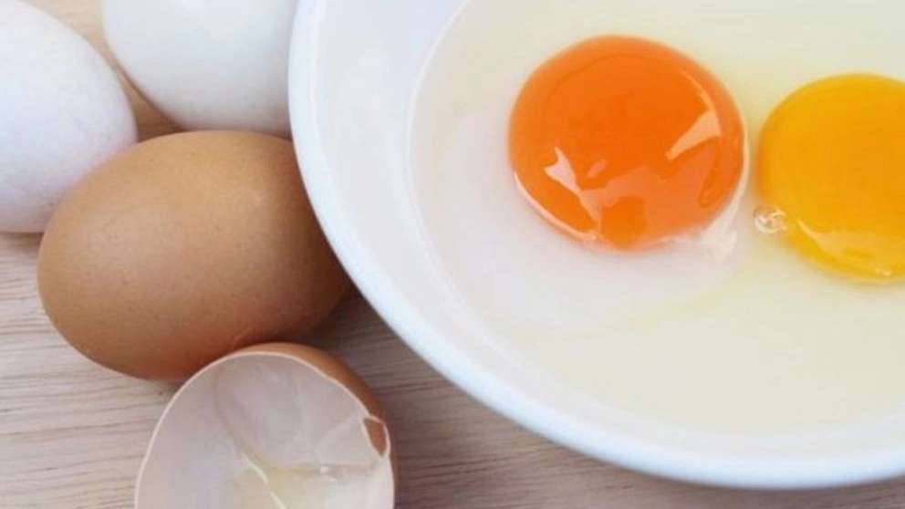 Sharifzadeh egg