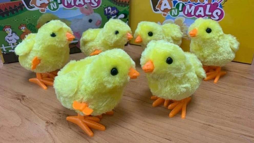 Royan bebek üretimi