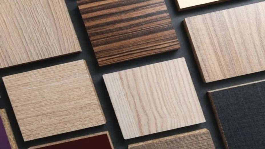 Sarai Iran Wood Trading