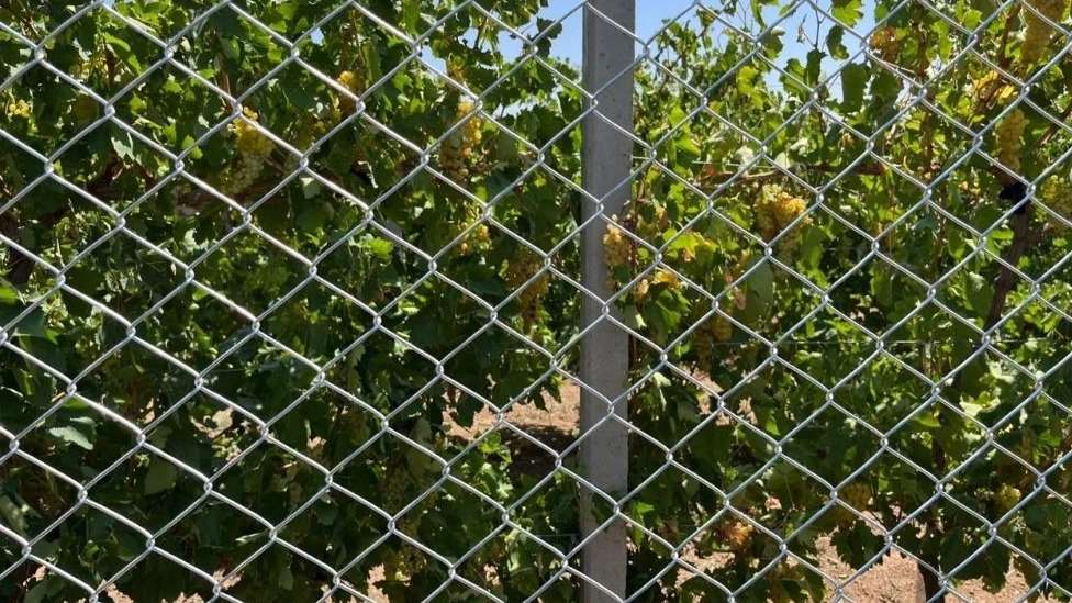 Fences and healing wire industries