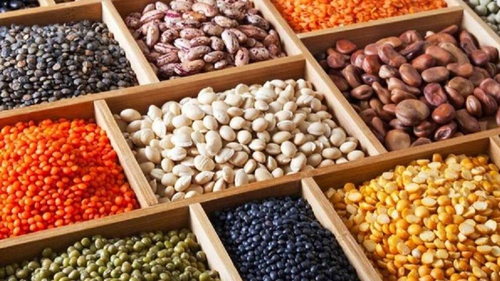 Zamanında paketlenmiş fasulye