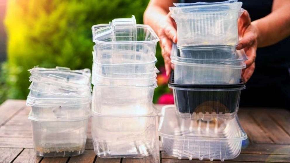 Kihan Sepehr disposable dishes