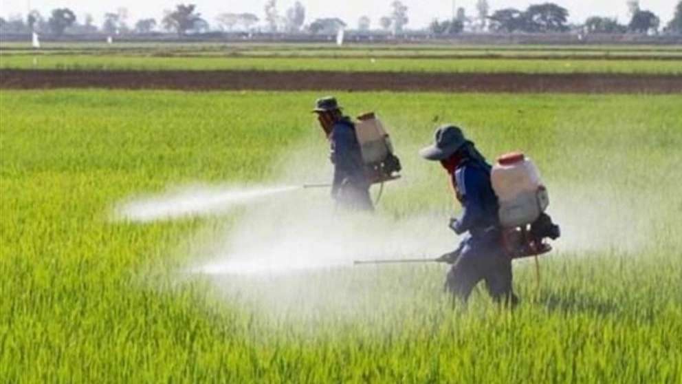 Spraying Giti Mehr