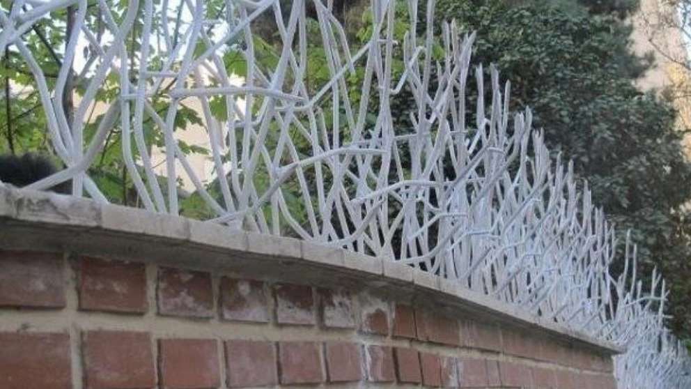 Deer antler protection in Ardabil