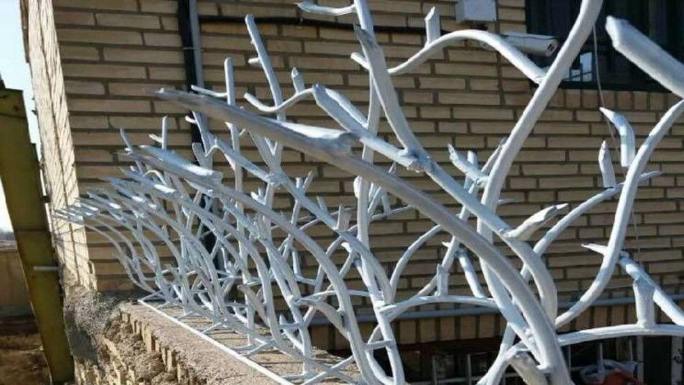 Deer antler protection in Ardabil