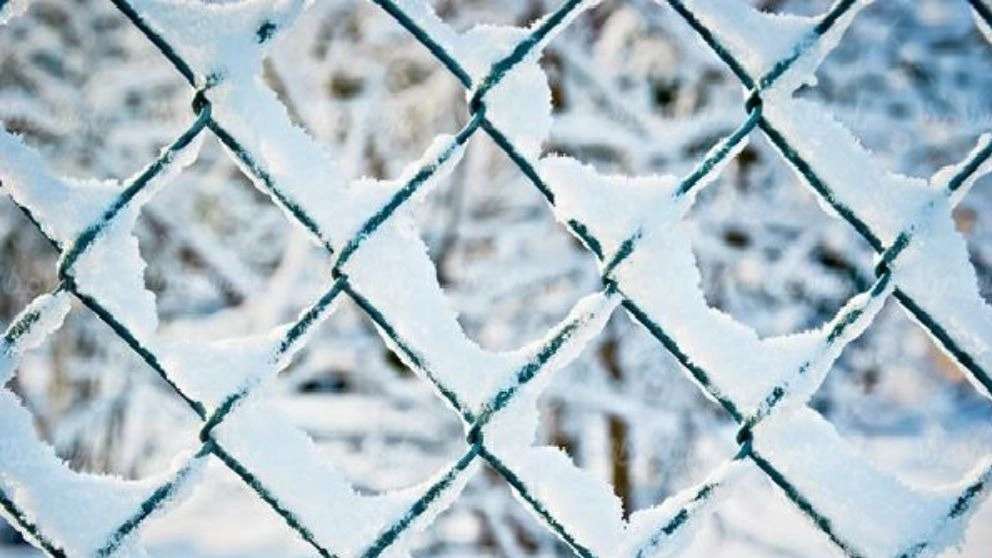 Production and implementation of Golestaneh fencing