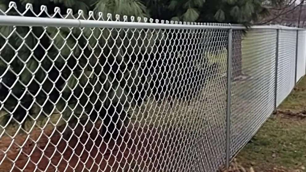 Production and implementation of Golestaneh fencing