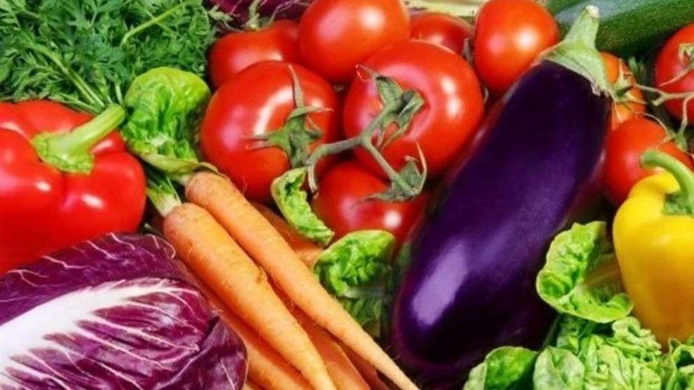 Ghafarzadeh summer clothes sale