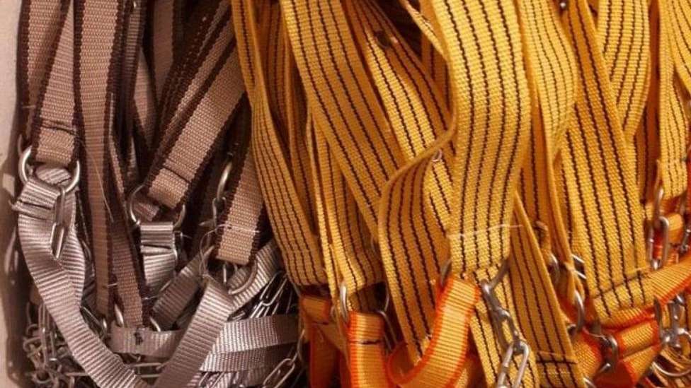 Production of collars and leashes in Ghorbanpur