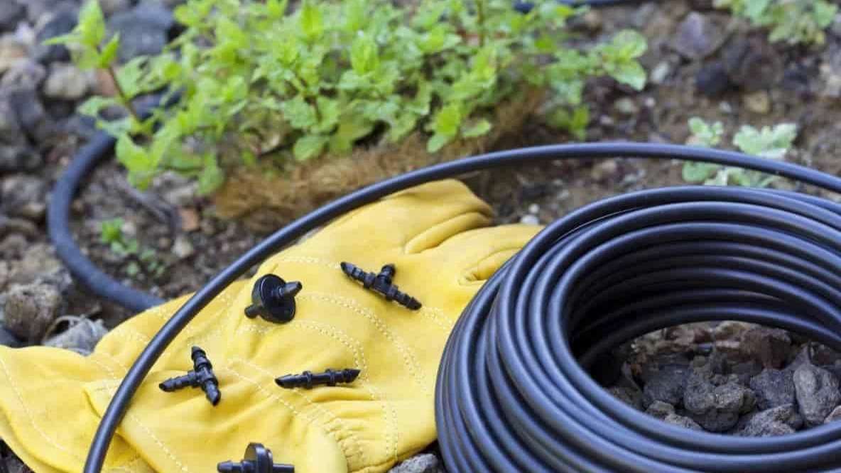 Official representative of Polyran Zare