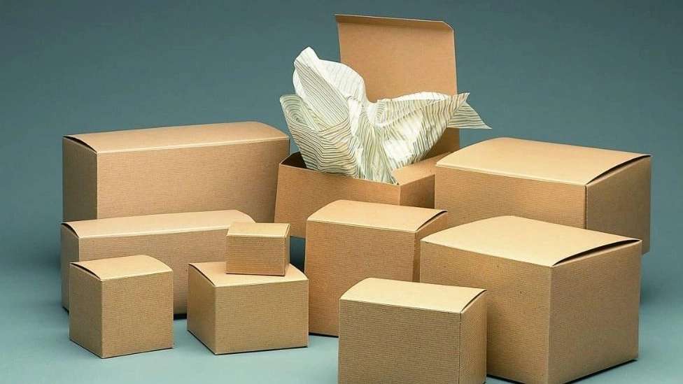 Cardboard and the right sanitary box