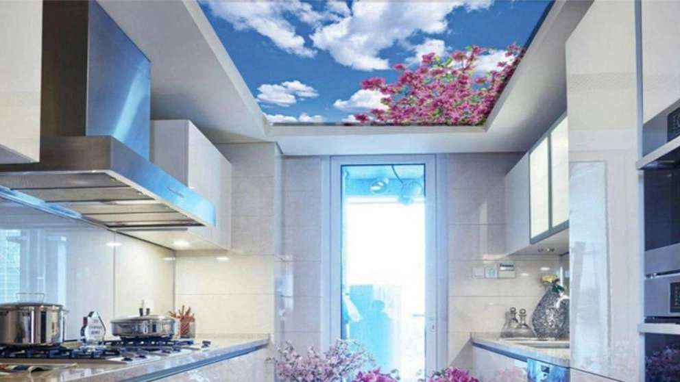 Kenaf and the virtual sky of Kenaf Ramsar