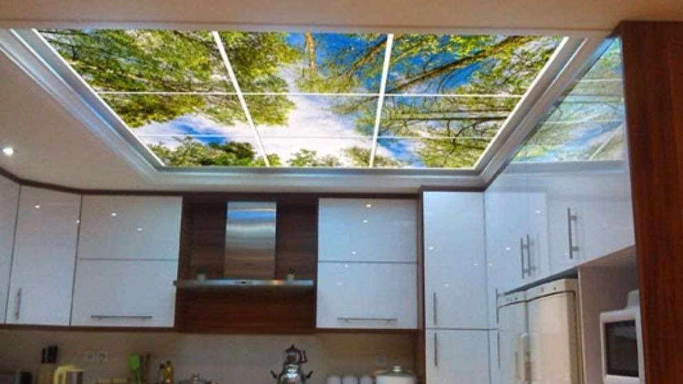 Kenaf and the virtual sky of Kenaf Ramsar