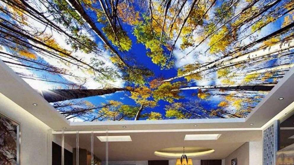 Kenaf and the virtual sky of Kenaf Ramsar