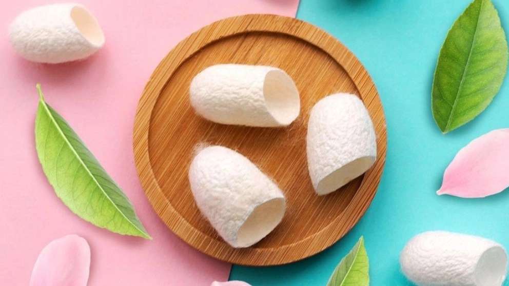 Natural and organic silk cocoon