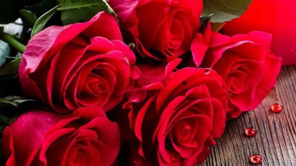 Selling all kinds of flowers and plants