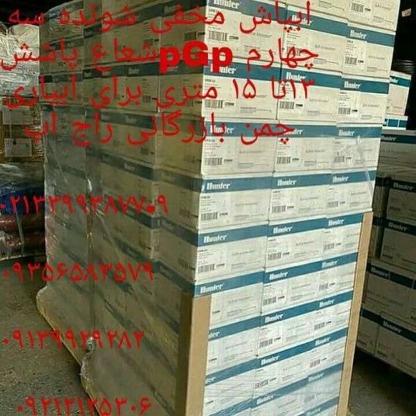 1700043324943.webp