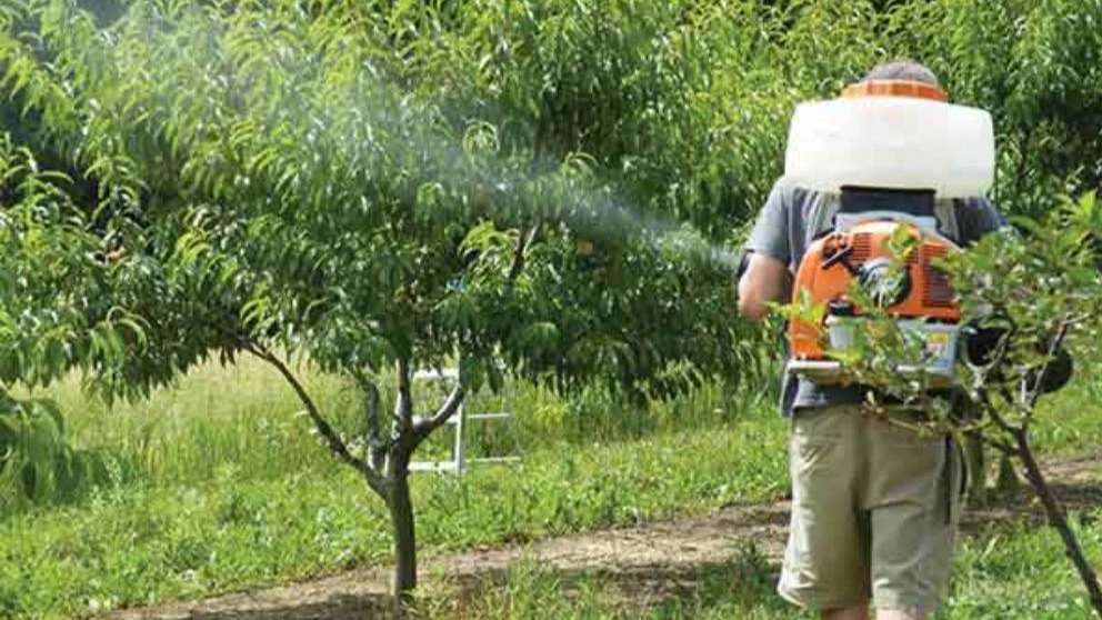 Sahand industrial sprayer