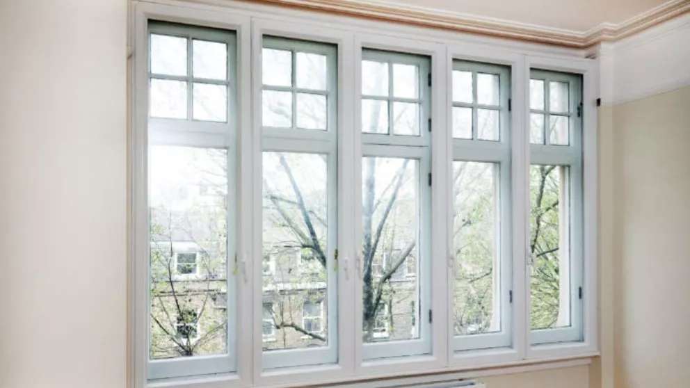 Doors and windows and rare pleated net