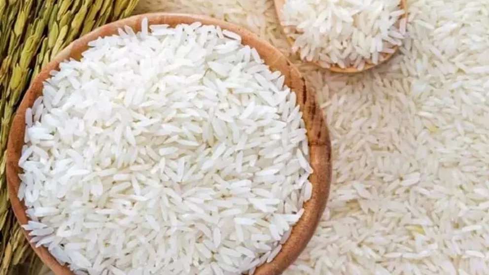 Ganbari pirinç ticareti