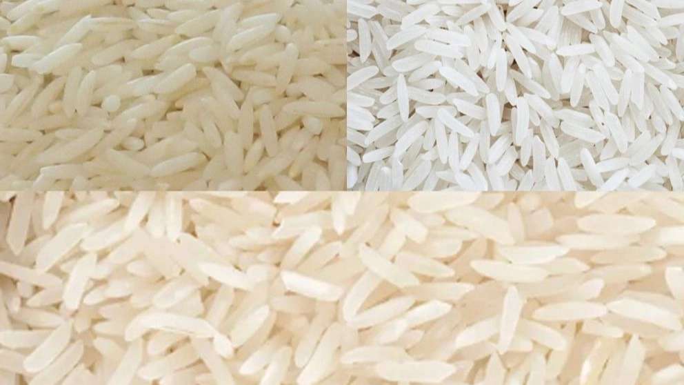 Rainy rice