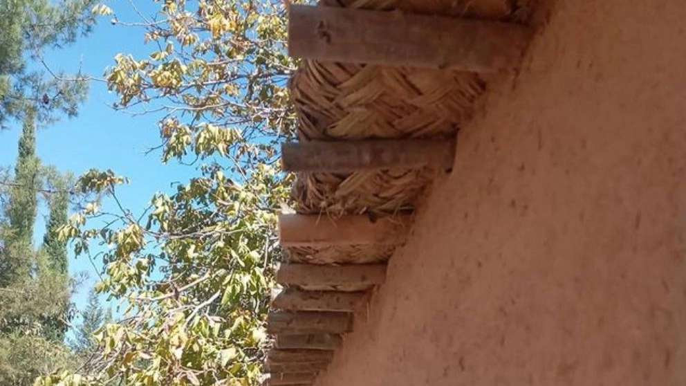 Sale and implementation of Gholami modern thatch