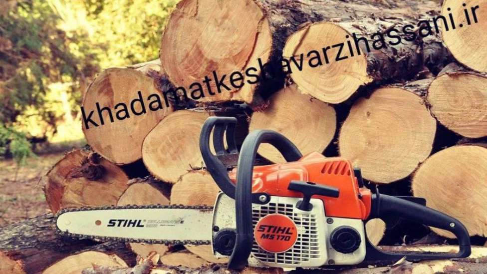 Hosni herbal medicine pharmacy