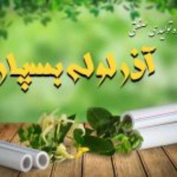 1702880041426.webp
