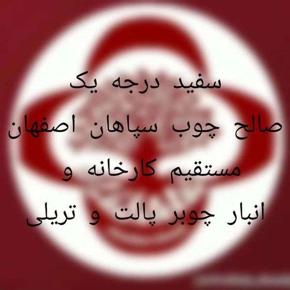 1703315001858.webp