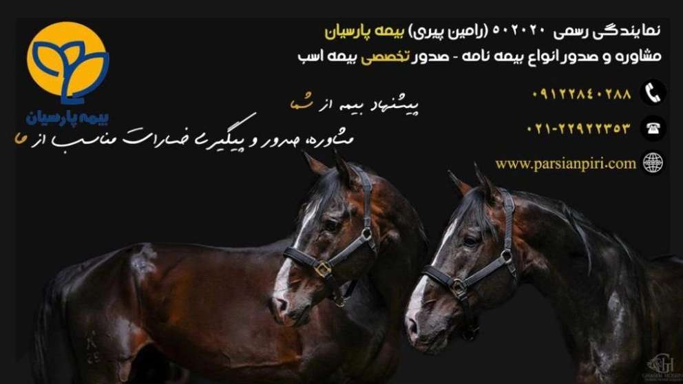 Parsian insurance
