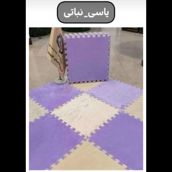 1703333663461.webp