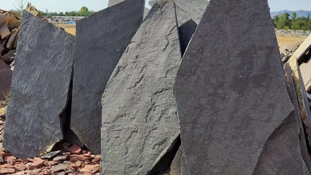 بيع ذبائح الروبيان