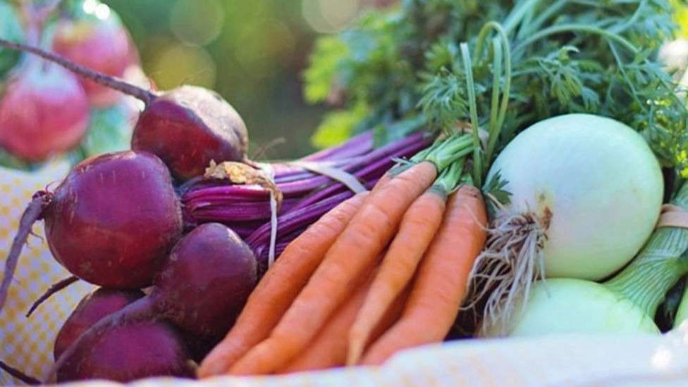 Najafi dry and wet summers