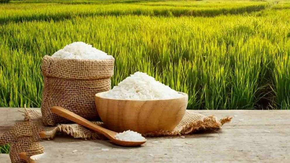 Flowering rice