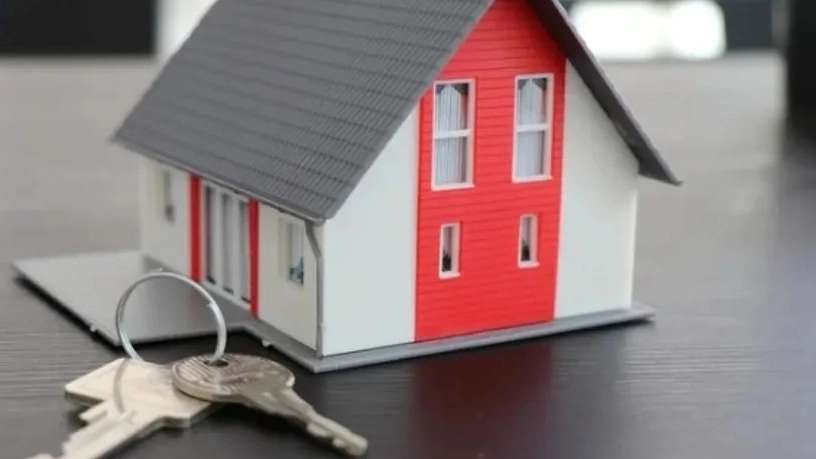 Shabani Real Estate Consultants