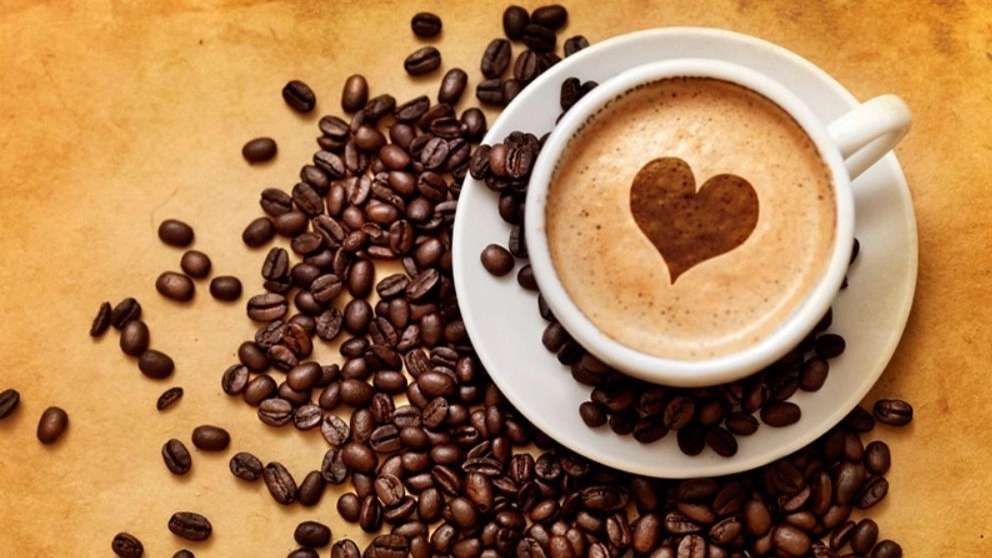 Cafe Plus