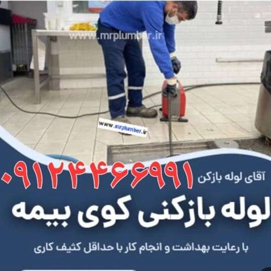 1704956286370.webp