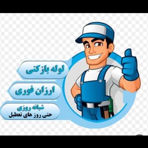 1704956491630.webp