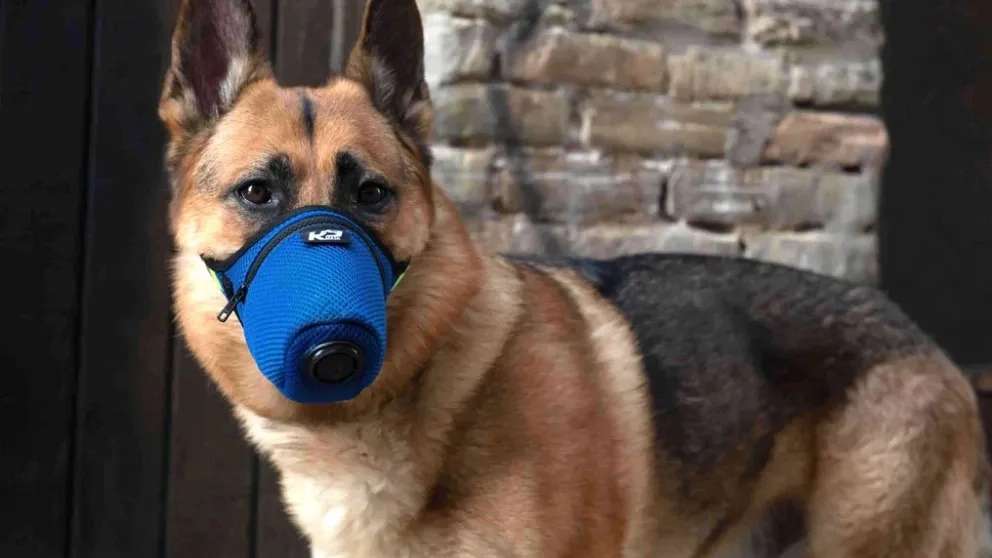 Hero k9