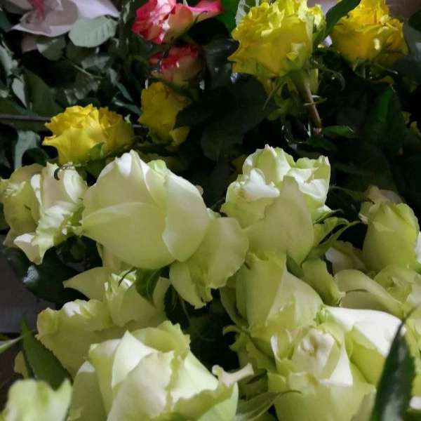 1707197326063.webp