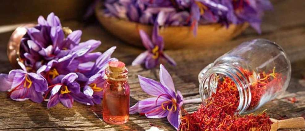 Selling Paniz spices and saffron