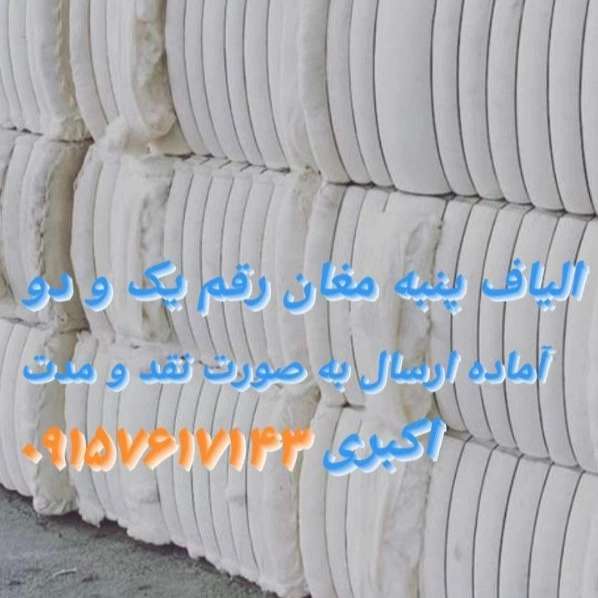1708773641438.webp