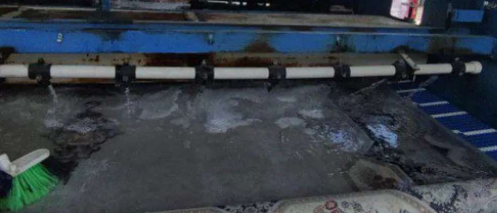 Darsa carpet cleaner
