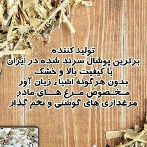 1711789936237.webp
